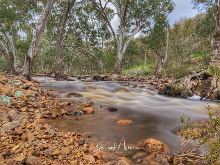 Koorawatha Falls