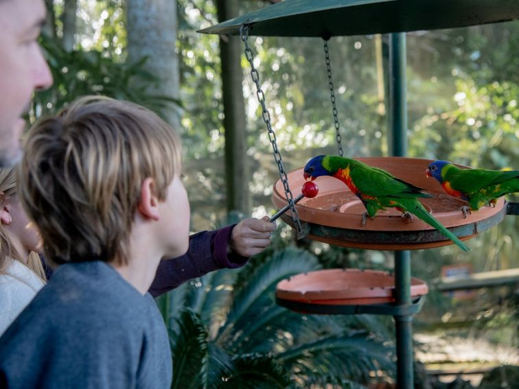 Byron Bay Wildlife Sanctuary