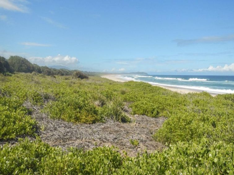 The view of the beach from Abbey Creek picnic area in Crowdy Bay National Park. Photo: Debby McGerty