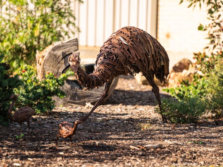 Emu Family