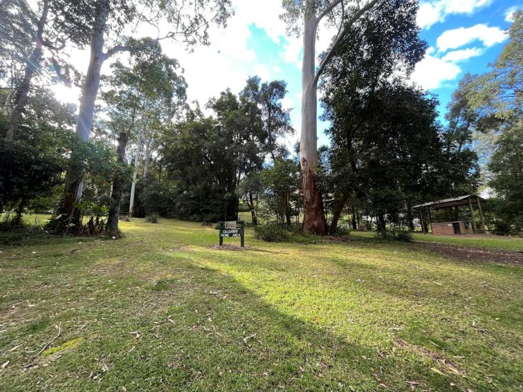 green picnic area in Cumberland State Forest