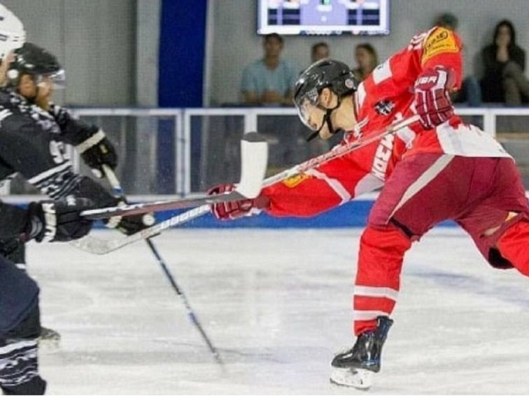 Hockey League at Ice Zoo