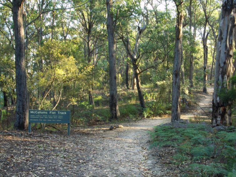 Long Point Lookout