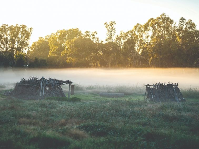 Foggy morning over the wetlands