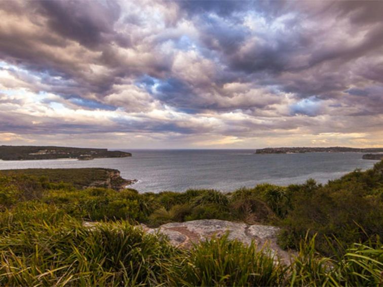 Dobroyd Scenic Drive, Sydney Harbour National Park. Photo: David Finnegan/OEH