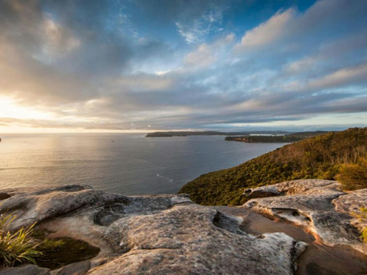 Dobroyd Scenic Drive, Sydney Harbour National Park. Photo: David Finnegan/OEH