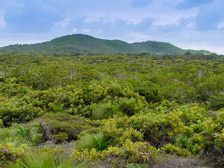 Arakwal National Park. Photo: John Spencer/NSW Government