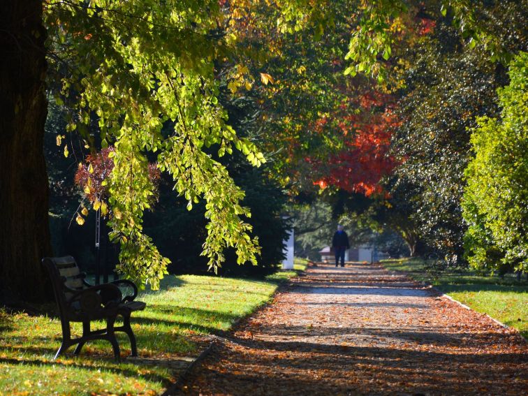 Cook Park heritage walk