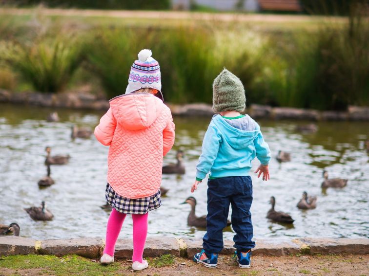 Cook Park duck pond, Orange NSW