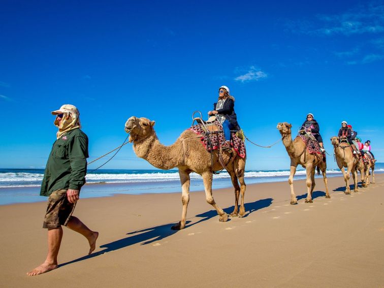 Camel Safari on Lighthouse Beach