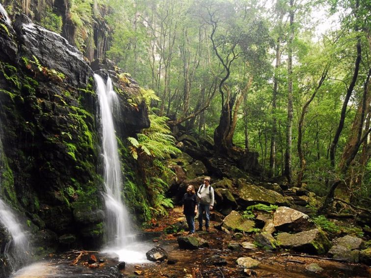 Fairy Bower Falls