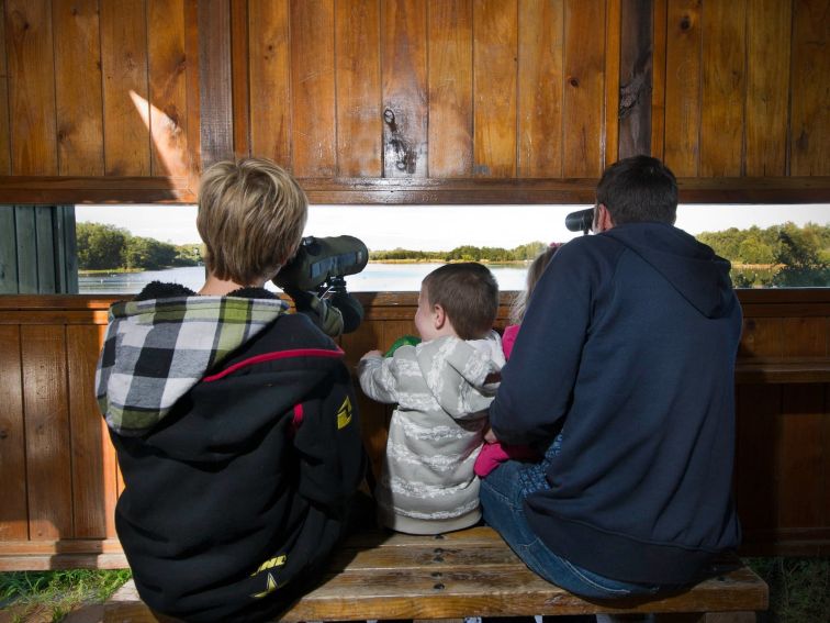 Young people bird watching