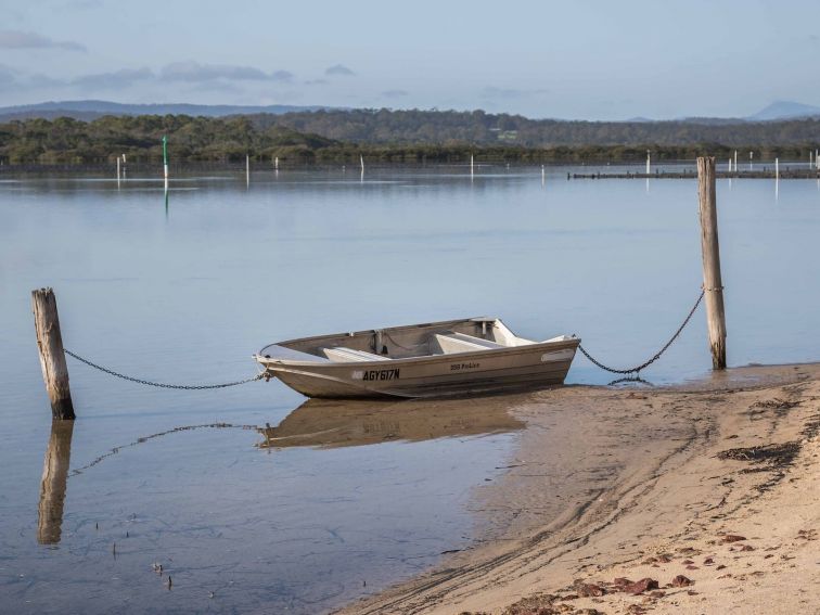 Merimbula, Boardwalk, south coast, walking