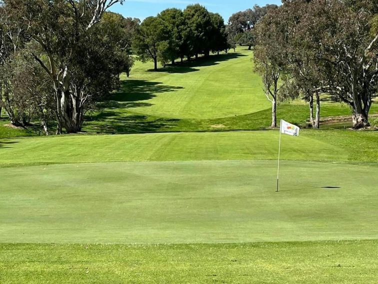 View of flag at golf hole with well-maintained green.