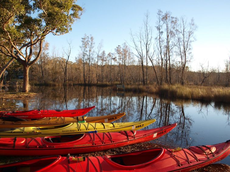 Kayaks