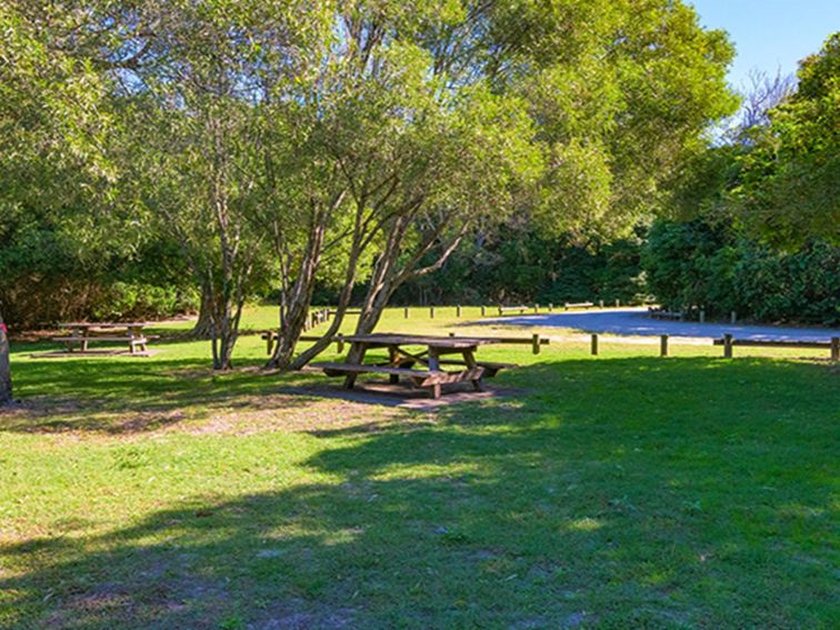 Back Beach picnic area surrounded by coastal bushland, showing picnic tables among trees and shade. 