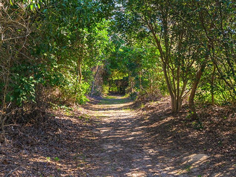 Back Beach Picnic Area | NSW Government