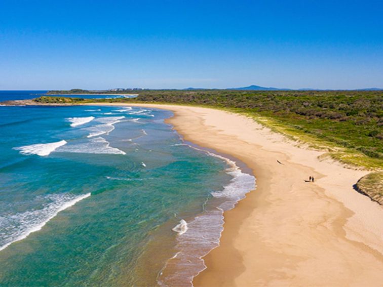 Aerial view of Back Beach surf, sand and coastal vegetation, with headland in the distance. Photo: