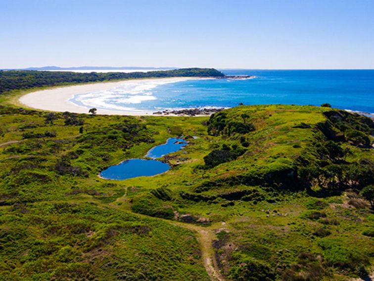 Aerial view of coastal landscape around Back Beach showing bushland next to the beach, with a rocky