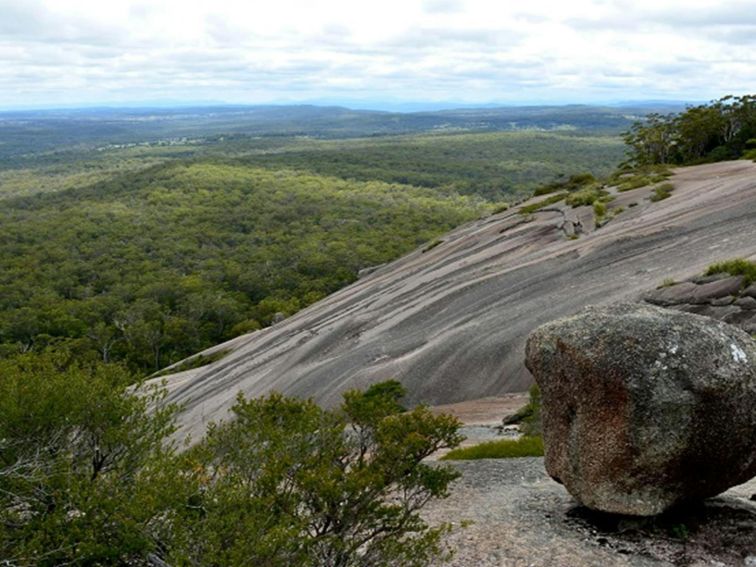 Bald Rock Summit walk, Bald Rock National Park. Photo: Ann Richards/OEH