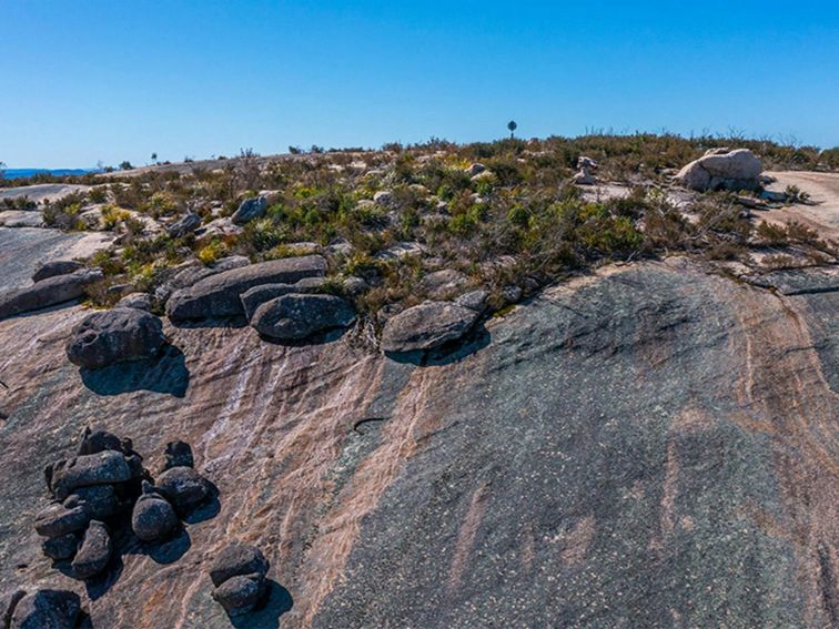 View of the dome of Bald Rock in Bald Rock National Park. Photo: Joshua J Smith &copy; DPE