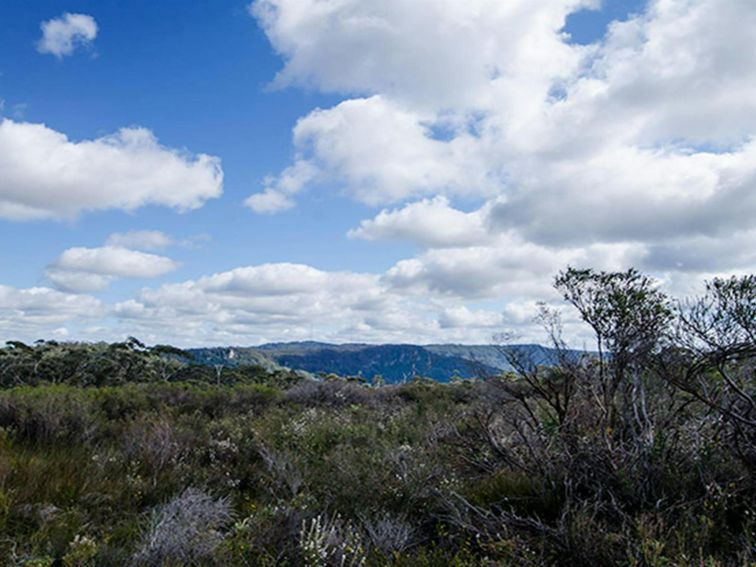 View from Griffths trail, Barren Grounds Nature Reserve. Photo: John Spencer/NSW Government