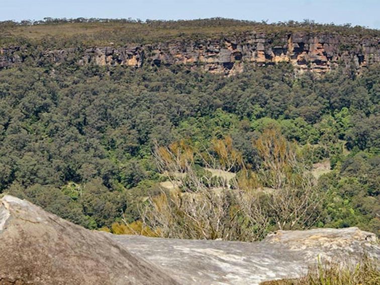 Cooks Nose lookout walk, Barren Grounds Nature Reserve. Photo: John Spencer/NSW Government