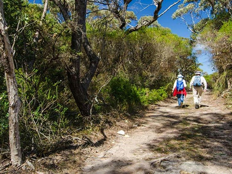 Barren Grounds Nature Reserve, Griffths trail. Photo: John Spencer/NSW Government