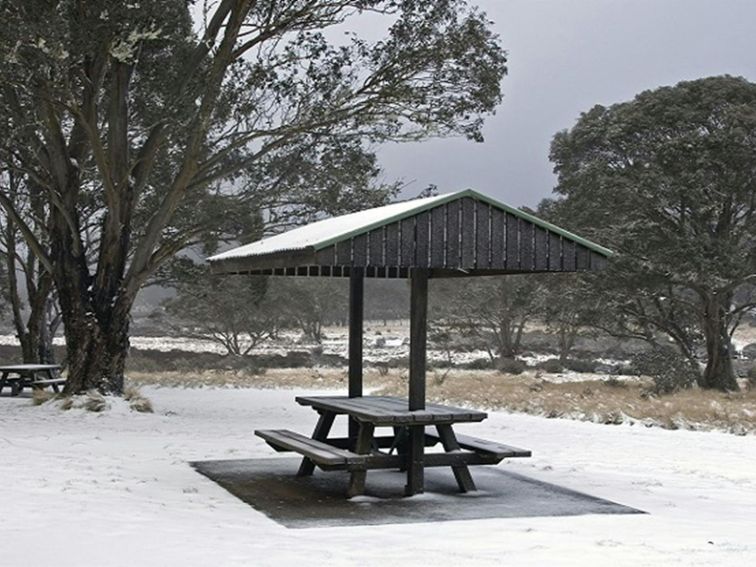 Polblue picnic area, Barrington Tops National Park. Photo: Shane Ruming/OEH