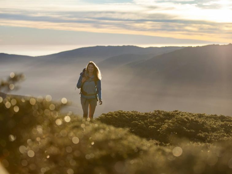 Thredbo Hiking