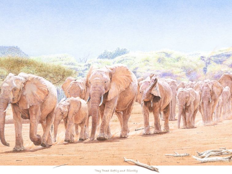The drawing shows an Elephant herd silently crossing an African plain