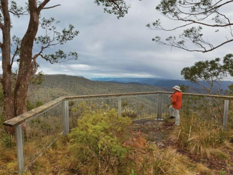 A man enjoying the view from Beech lookout in Cunnawarra National Park. Photo: Rob Clearly &copy;