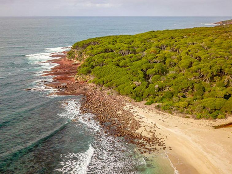 Aerial view of headland, ocean and eucalypt trees near Saltwater campground. Photo: John