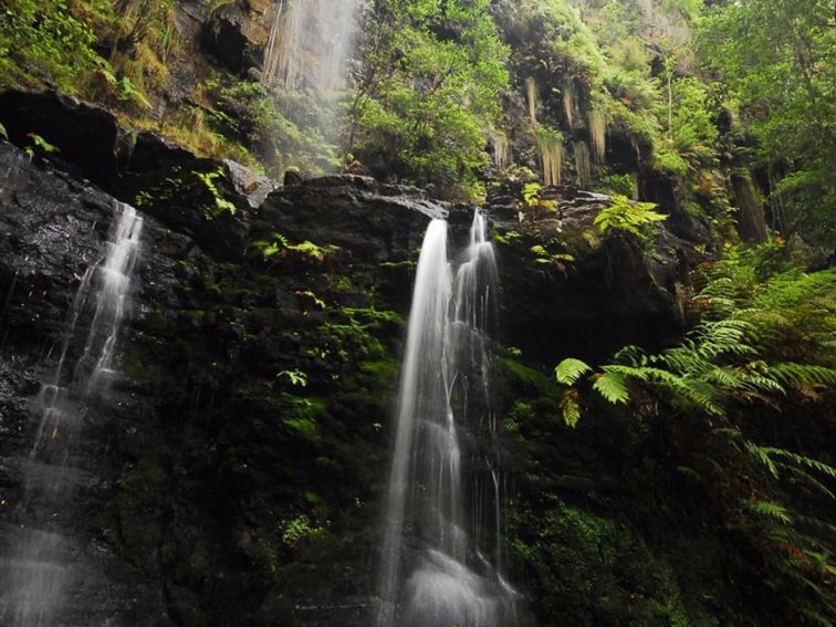 Fairy Bower Falls