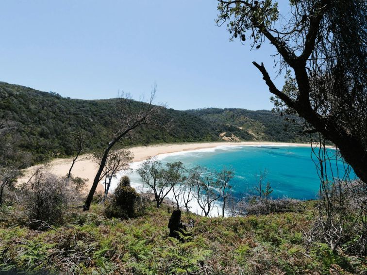 Steamers Beach View