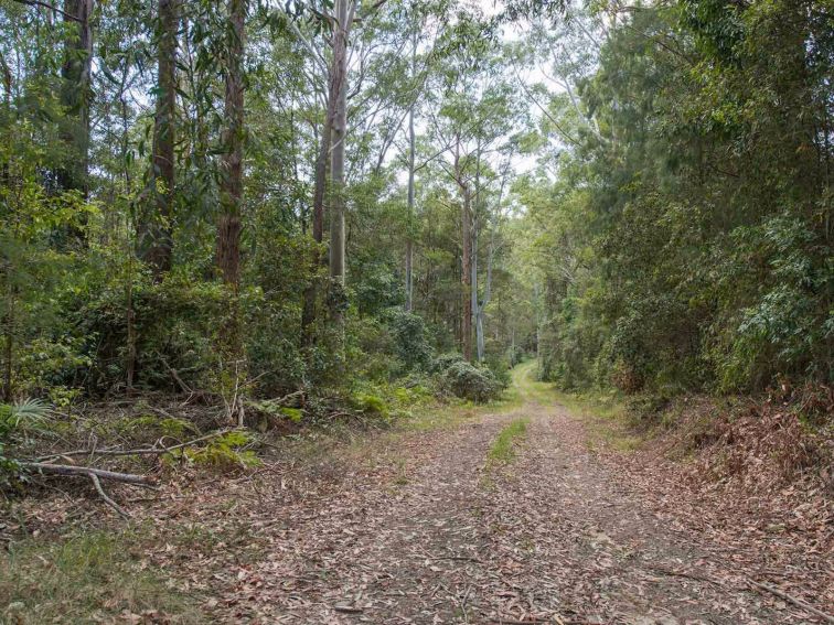 Southern Boundary trail, Wallingat National Park. Photo: John Spencer