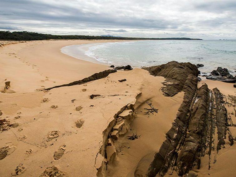 Biamanga National Park. Photo: John Spencer/OEH