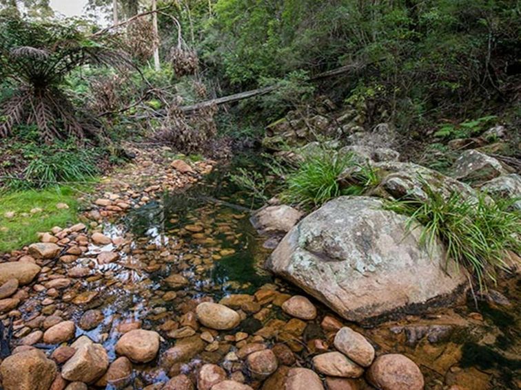 Biamanga National Park. Photo: John Spencer/OEH