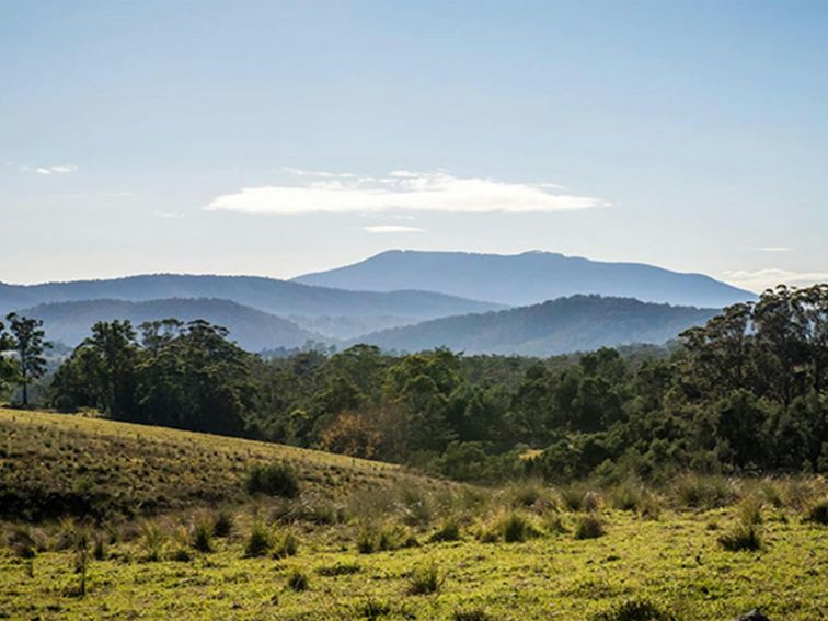 Biamanga National Park. Photo: John Spencer/OEH