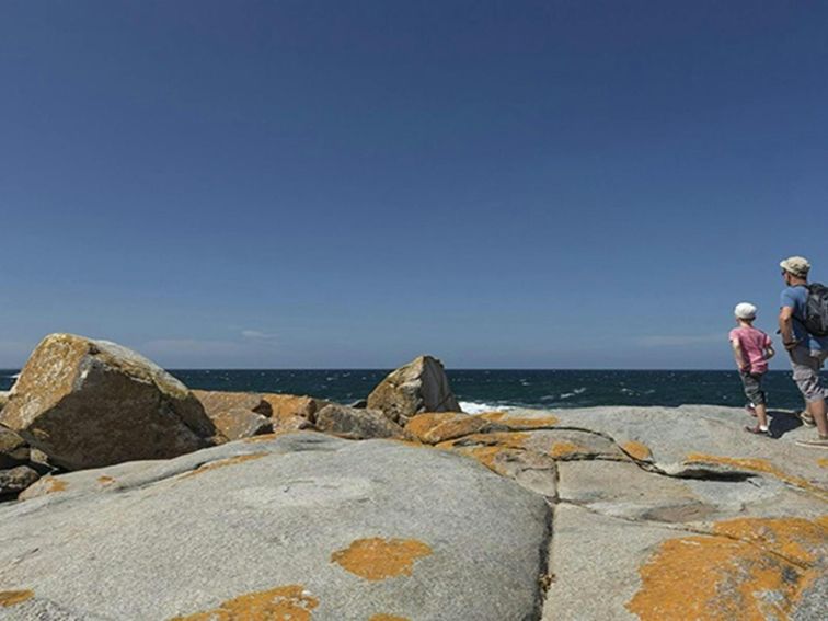 Family whale watching on rocks at Bingi Bingi Point along Bingi Dreaming track, Eurobodalla National