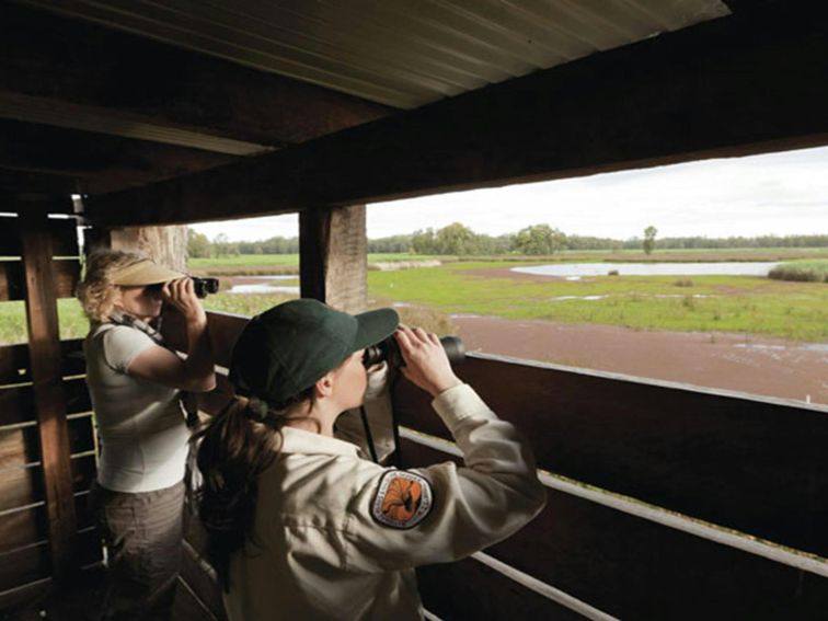 Birdwatching from Reedbeds bird hide. Photo: David Finnegan &copy; DPIE