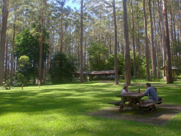 A couple sitting at a picnic table at Bongil picnic area in Bongil Bongil National Park. Photo: