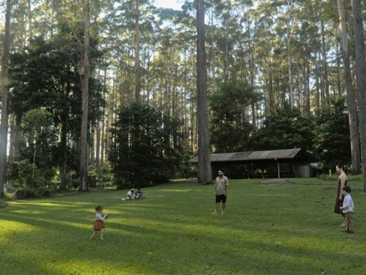 A family playing on the grass at Bongil picnic area in Bongil Bongil National Park. Photo: Simon