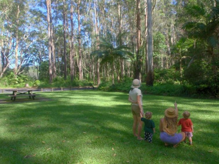 A family birdwatching at Bongil picnic area in Bongil Bongil National Park. Photo: Simon Grant