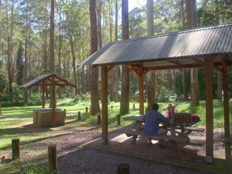 A couple at a picnic shelter at Bongil picnic area in Bongil Bongil National Park. Photo: Simon