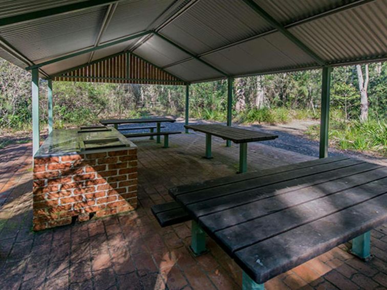 Brimbin Nature Reserve. Photo: John Spencer/OEH