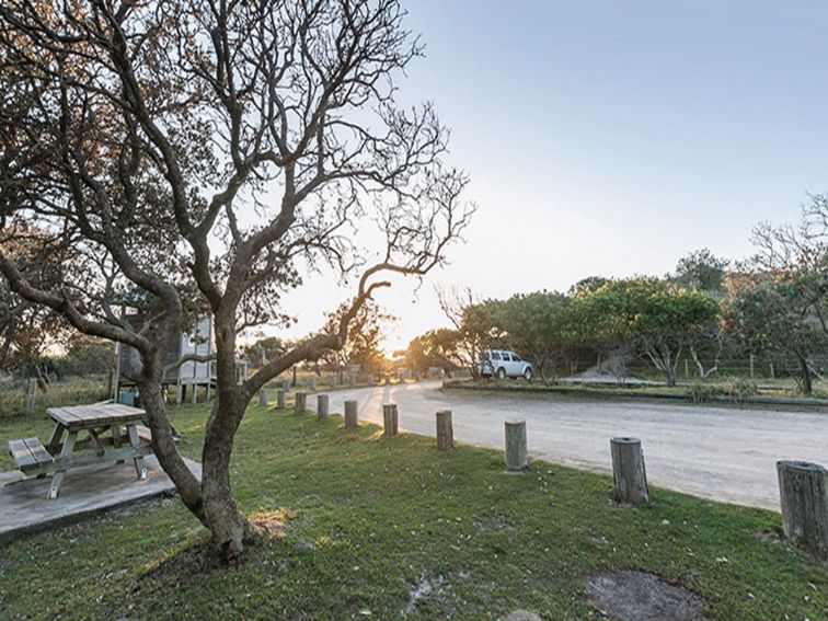 Sunrise over Broadwater Beach picnic area in Broadwater National Park. Photo: Murray Vanderveer