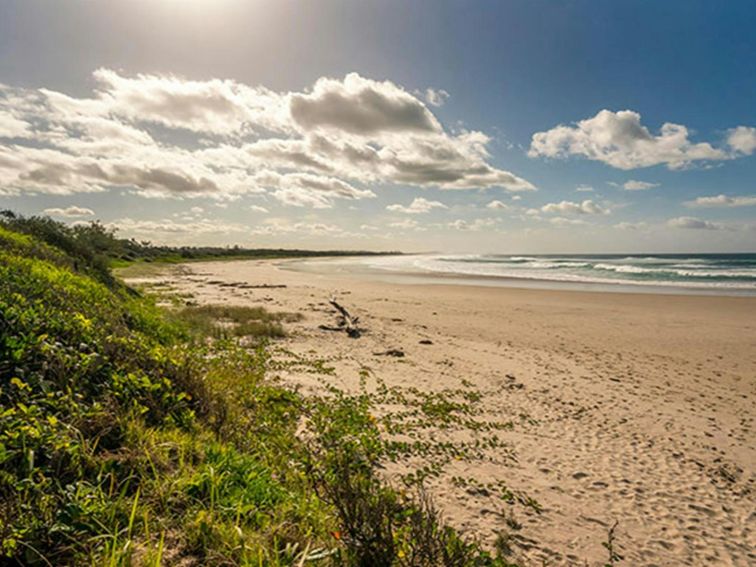 Beach area along North Head walking track in Brunswick Heads Nature Reserve. Photo: John