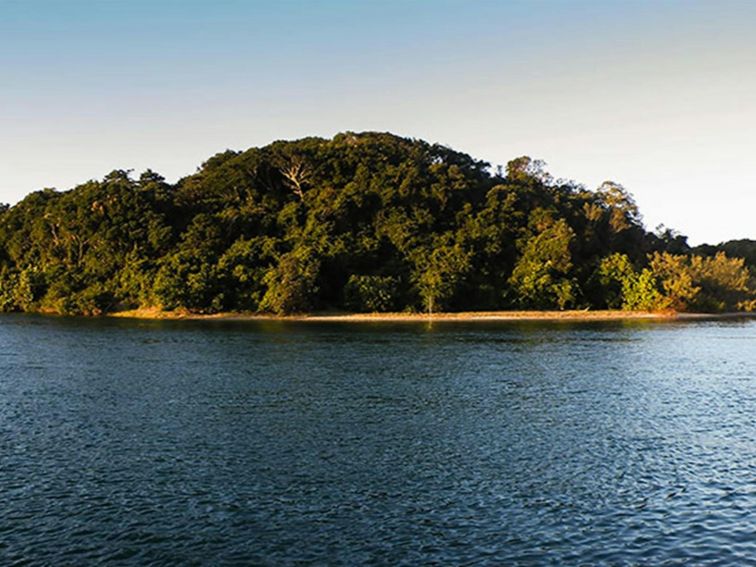 Brunswick Heads Nature Reserve. Photo: L Cameron/NSW Government