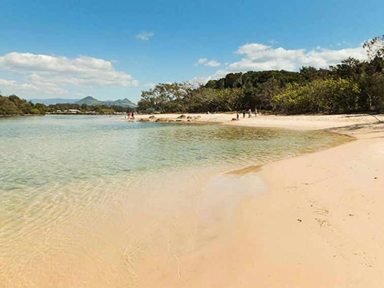 Brunswick Heads Nature Reserve. Photo: L Cameron/NSW Government